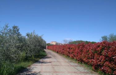 Villa Absolute privacy - Photo 21