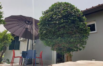 Duplex House - Foto 45