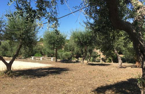 Riserva Ancelle - Foto 41