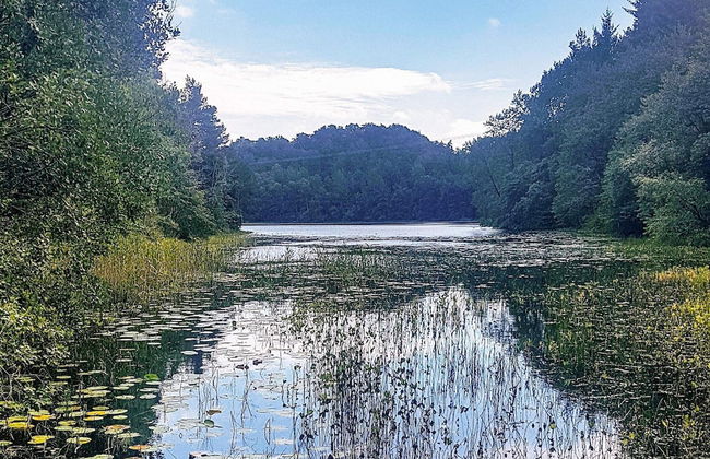 Tranquil Retreat in Moster-by Traum - Foto 16