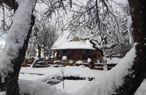 Jabłoniowy Sad Kalwaria Pacławska - Foto 38