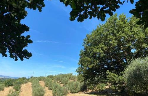 La Casina della Quercia, Your Tuscan Oak Tree House - Foto 23