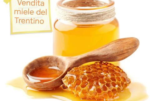 Chalet Migazzi - Foto 34