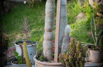 Thanos Village - Foto 38