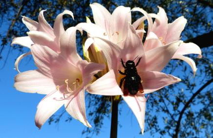 Casa vacanze Ester - Photo 44