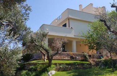 Tenuta Serra Peccatori - Foto 8