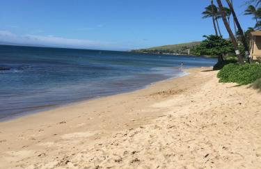 Maalaea Kai 110 Spectacular View in Paradise - Foto 34