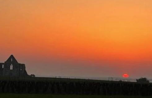 Villa TEYO Le Bois Plage en Ré - Foto 49