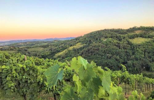 Podere Baratta agriturismo e cantina - Foto 23