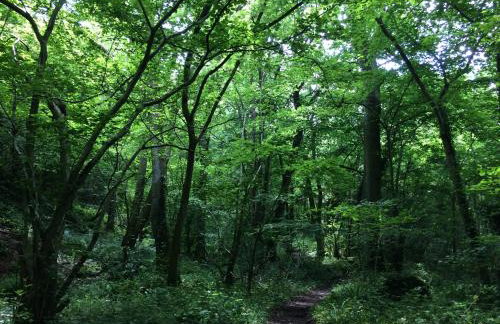 Yew Tree Cottage - Foto 15