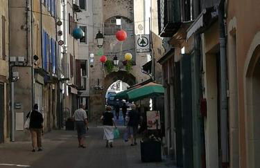 Appartement immeuble le bringer 180m2 - Foto 2