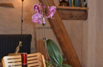 Agriturismo Alla Vecchia Quercia - Foto 36