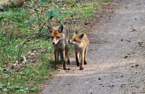 Seaview Apartment & rooftop terrace 77b - Foto 24