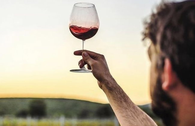 QUINTA DA FAISCA - Agro Turismo - Foto 26