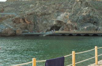 LAR Tamaduste - Foto 25