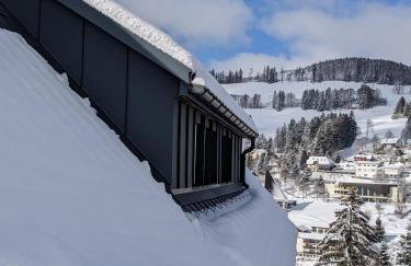 Schwarzwald Chalet Matti in Todtnauberg - Foto 58