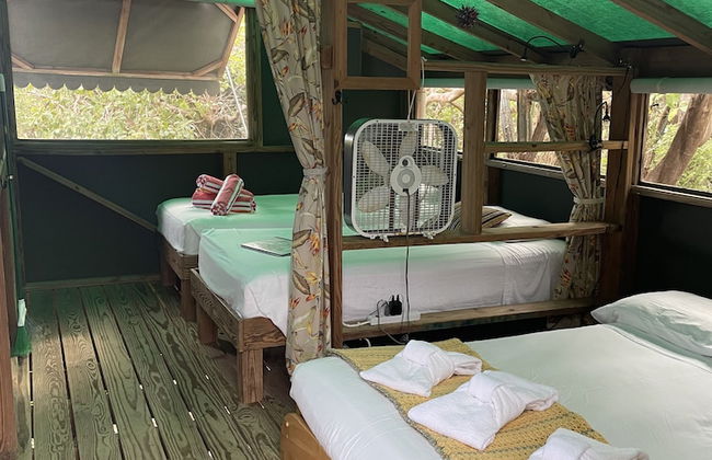 Virgin Islands Campground - Photo 8