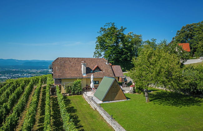 Vineyard Cottage Hocevar With Sauna - Photo 25