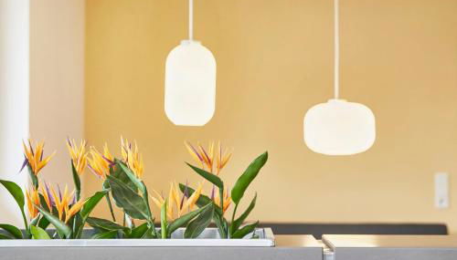 Glücksferien- Sonnenhut - Foto 4