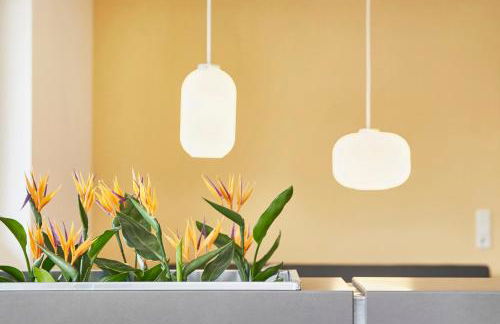 Glücksferien- Sonnenhut - Foto 4