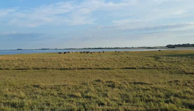 4 Star Holiday Home in Bogense - Foto 5, Miscelánea