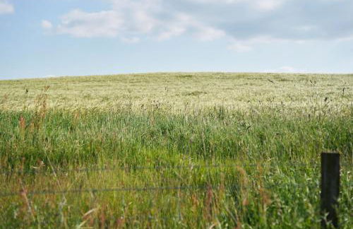 Douglas Gatehouse - Foto 32