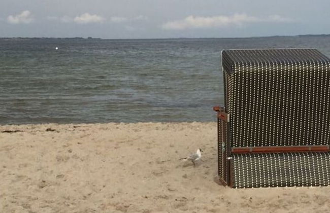 Holnis Beach Cabin Comfortable Vacation Home - Foto 17