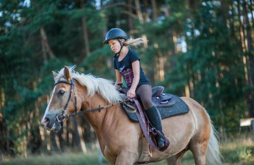 traumHaff Küstenchalets - einzigartige Chalets an der Ostsee. Ganz aus Lärchenholz mit Kamin und Sauna - Foto 49