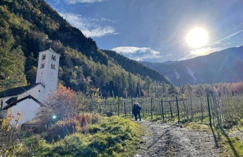 Ferienwohnungen JoJaSa - Foto 65