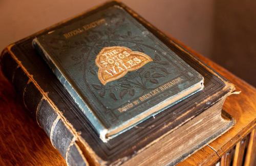 5 Bed in Selkirk oc-tower - Foto 37