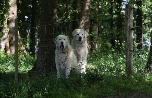 Terraced House, Lohmen - Foto 30