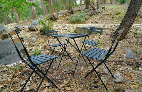 Beautiful Renovated Cozy Forest Home with Hot Tub in Crestline - Foto 30