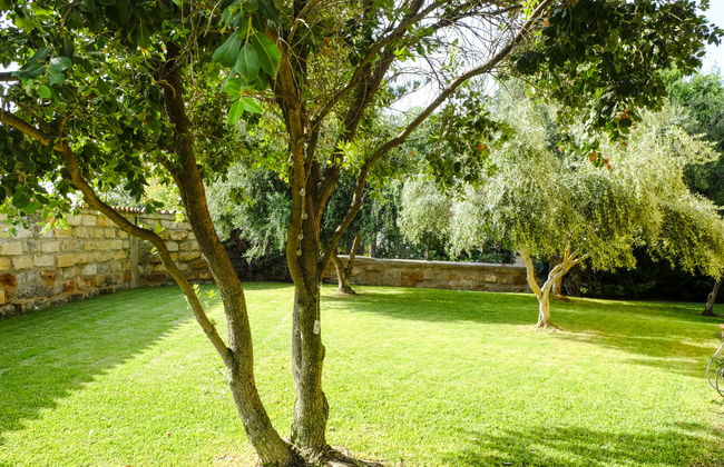 Carta Fashion - Foto 24