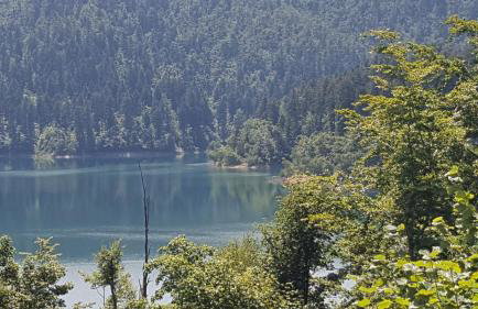 Holiday home Bozica - Foto 7