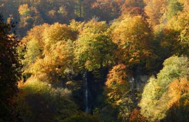 FREE Apartment - Bei den Thermen - Foto 63