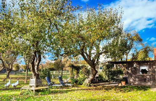 Fabelhaftes Ferienhaus in Thorstorf in Meeresnaehe - Foto 94