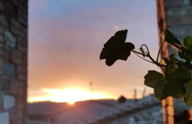 Sweet in Chianti - Foto 19