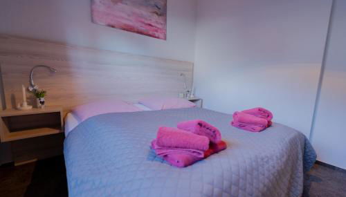 Ferienhaus Schöne Aussicht Ferienwohnung Rot - Foto 5