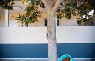 Green House Ariadni - Foto 53