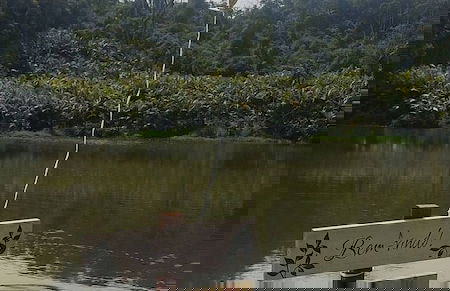 Vila Paraíso - Blumenau - SC - Photo 52