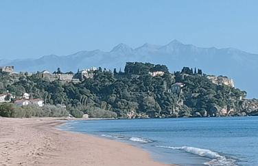 LimonoSpito - Photo 39