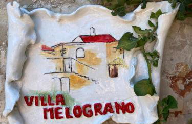 Il Melograno Vrbanj Hvar - Foto 49