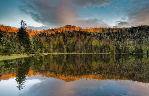 Ferienwohnung im Landhaus am Nationalpark - Foto 35