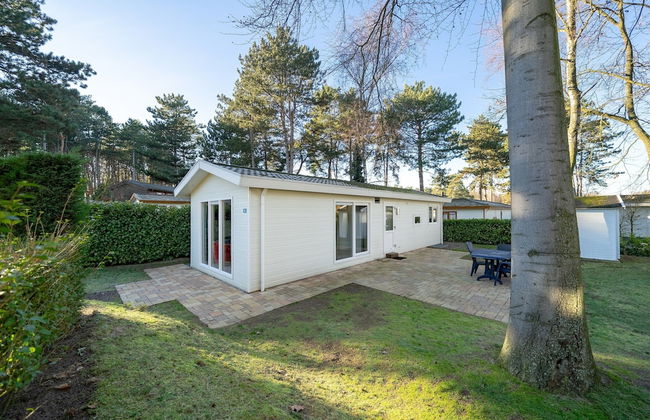 Well Furnished Chalet with Garden near Brunssummerheide - Photo 17