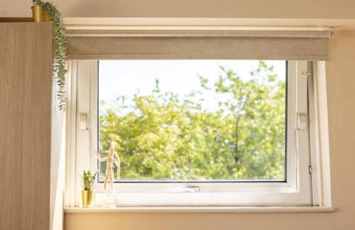 John Lester and Eddie Colman Courts in Salford - Foto 49