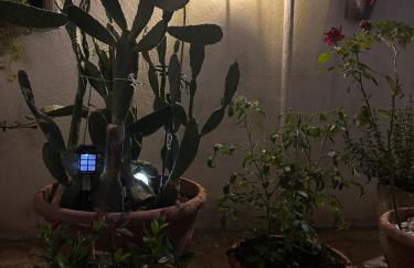 Il Giardino Segreto - Foto 17