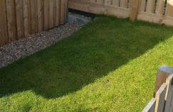 Honeysuckle Cabin - Photo 21