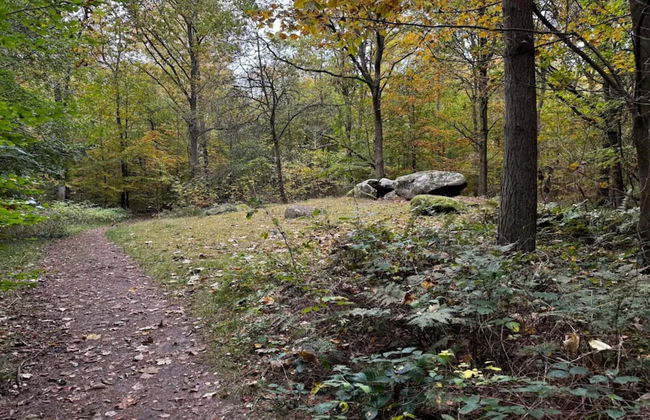 6 Person Holiday Home in Hornbaek - Photo 9