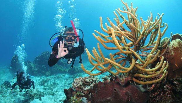 Disfrutando de la clase de buceo