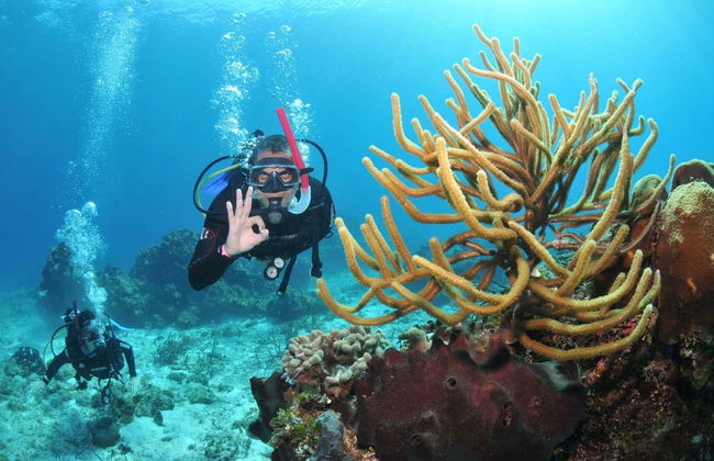 Bautismo de buceo en Búzios - Foto 3
